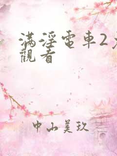 满淫电车2免费观看