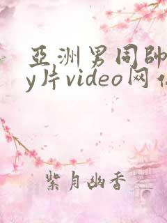 亚洲男同帅gay片video网站