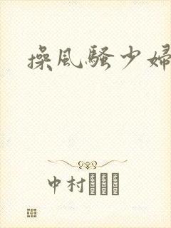 操风骚少妇爽文