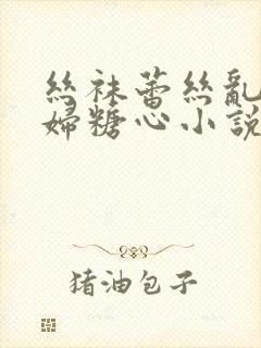 丝袜蕾丝乱淫少妇糖心小说