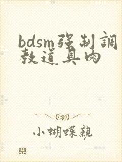 bdsm强制调教道具肉