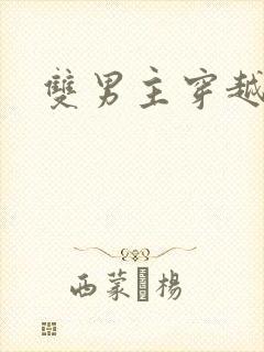 双男主穿越星际