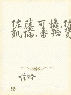 佐藤可怜,佐藤凯伦,番号资料