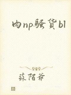 肉np骚货bl