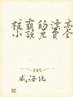 校霸的漂亮继父小说免费全文阅读