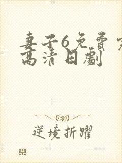 妻子6免费完整高清日剧