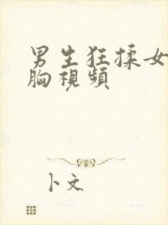 男生狂揉女生的胸视频