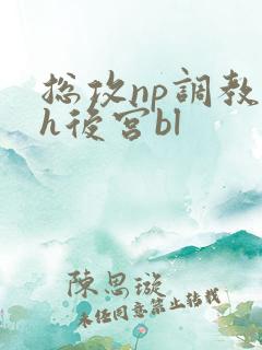 总攻np调教高h后宫bl