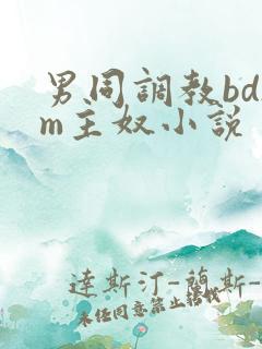 男同调教bdsm主奴小说