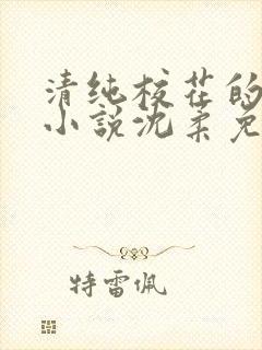 清纯校花的日常小说沈柔免费阅读