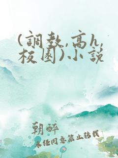 (调教,高h,校园)小说