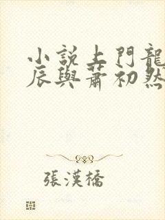 小说上门龙婿叶辰与萧初然