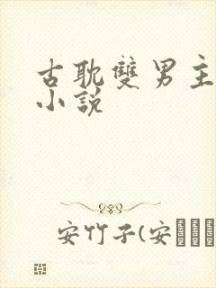 古耽双男主生子小说