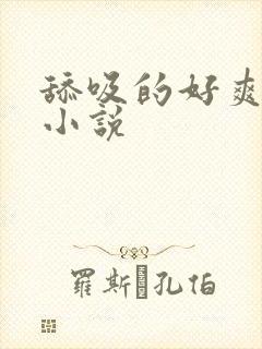 舔吸的好爽啊 小说