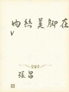 肉丝美脚在线av