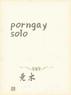 porngaysolo