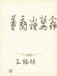 叶天小说全文免费阅读无弹窗