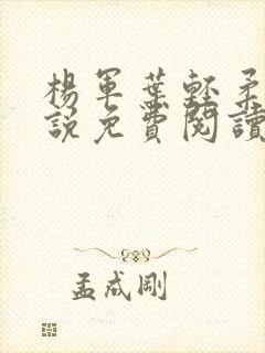 杨军叶轻柔的小说免费阅读无弹窗