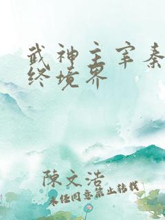 武神主宰秦尘最终境界