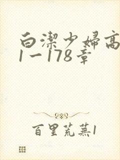 白洁少妇高义第1一178章