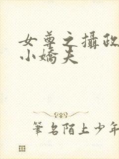 女尊之摄政王的小娇夫