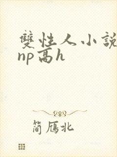 双性人小说纯肉np高h