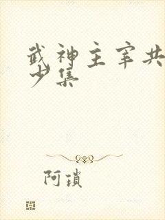 武神主宰共有多少集