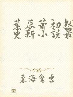 叶辰萧初然最快更新小说最新章节