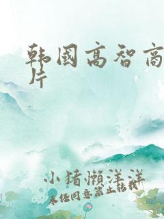 韩国高智商犯罪片