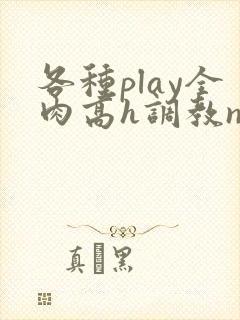各种play全肉高h调教np