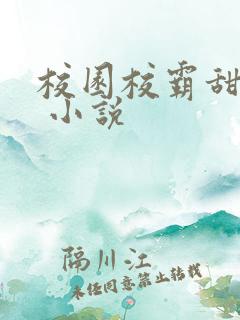 校园校霸甜宠文 小说