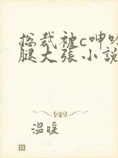 总裁被c呻吟双腿大张小说