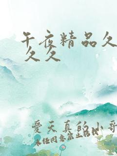 午夜精品久久久 久久