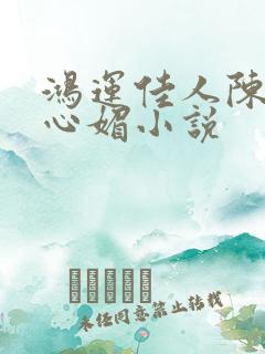 鸿运佳人陈斌赵心媚小说