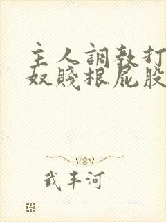 主人调教打烂贱奴贱根屁股视频