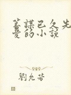 蓄谋已久先婚后爱的小说