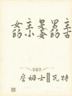 女主是男主父亲的小妾的古言