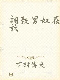 调教男奴在线播放