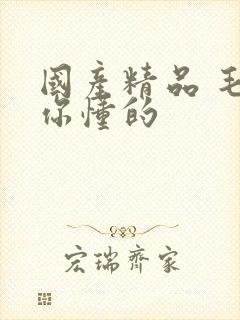 国产精品 毛片你懂的