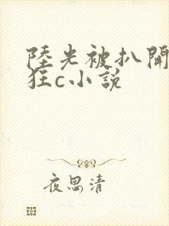 陆光被扒开双腿狂c小说