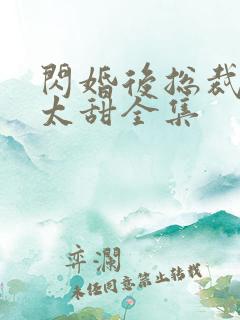 闪婚后总裁娇妻太甜全集