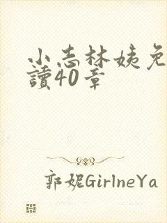 小志林姨免费阅读40章