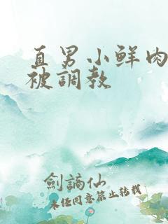 直男小鲜肉小陈被调教