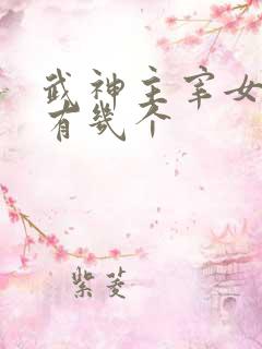 武神主宰女主角有几个