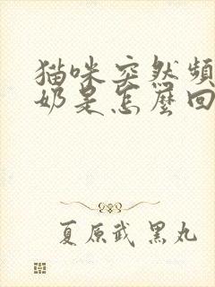 猫咪突然频繁踩奶是怎么回事