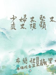 少妇又紧又色又爽又视频