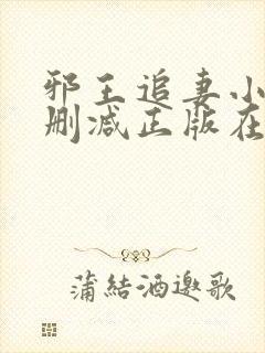 邪王追妻小说无删减正版在线阅读