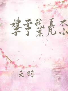 嫂子我真不是傻子了叶凡小说在线免费看