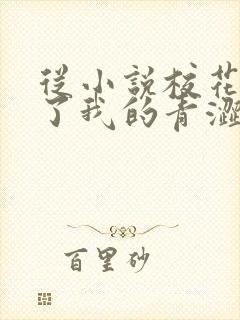 从小说校花别追了我的青涩同桌又软又甜小说