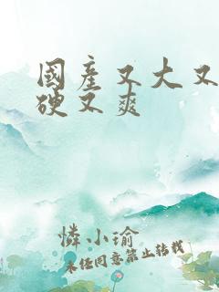 国产又大又黄又硬又爽